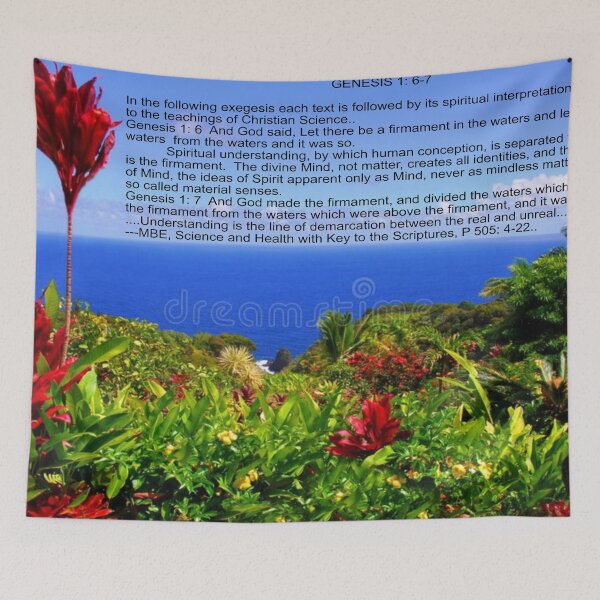 Item preview, Genesis 1: 6, 7 MBE Art designed and sold by Alicefish.