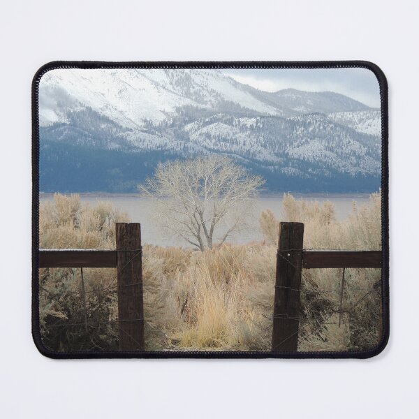 Item preview, Enter designed and sold by Robert Ball.