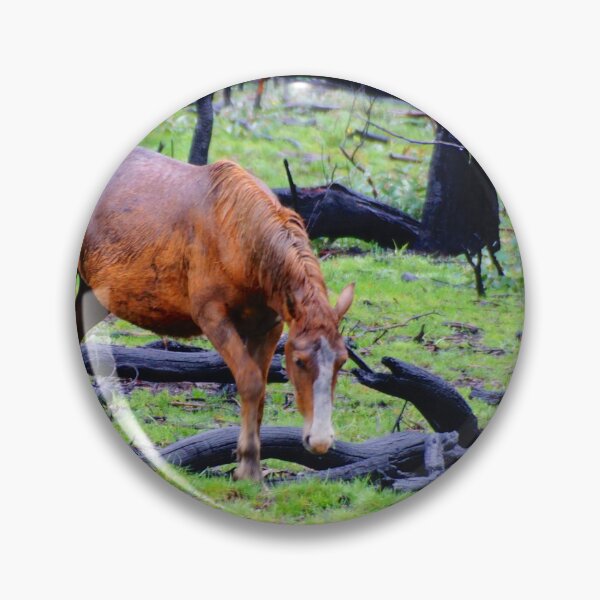 Item preview, Brumby after the Fires designed and sold by D-GaP.
