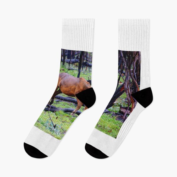 Item preview, Brumby after the Fires designed and sold by D-GaP.