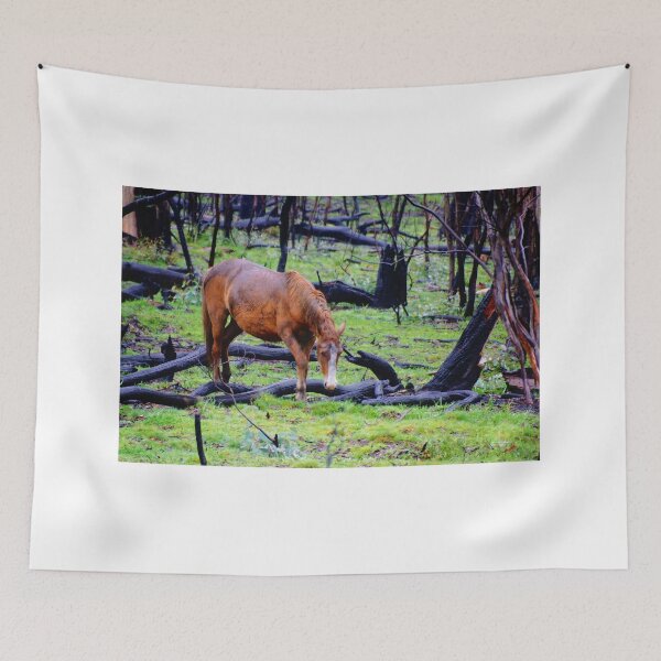 Item preview, Brumby after the Fires designed and sold by D-GaP.