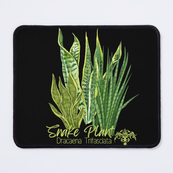 Item preview, Snake Plant Dracaena Trifasciata Green Design designed and sold by EarthArtDesigns.