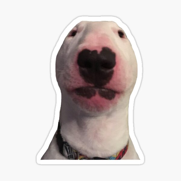 Item preview, Walter Dog Meme Sticker  designed and sold by KalebStroman.