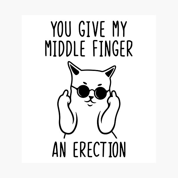 You Give My Middle Finger Funny Cat Photographic Print