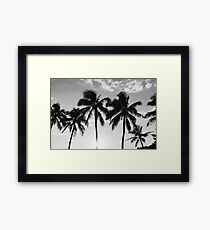 Hawaiian Palms III Framed Print