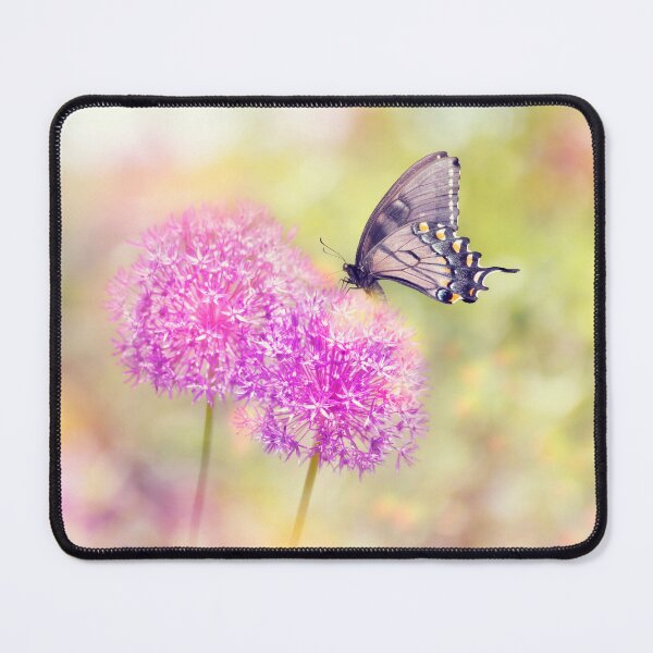 Item preview, Beautiful Butterfly Feeds on Chive Flower designed and sold by svetlanna.