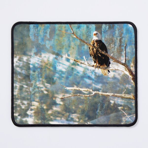 Item preview, Regal designed and sold by Robert Ball.