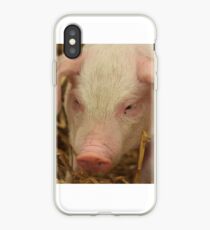 Nettes Ferkel iPhone-Hülle & Cover