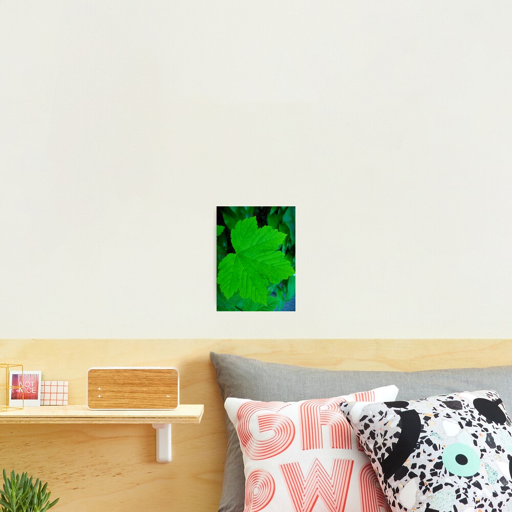 Item preview, Photographic Print designed and sold by chris1987.
