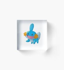 Mudkip Acrylic Block