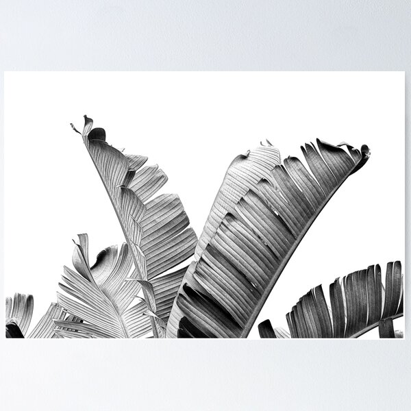 Item preview, BANANA LEAVES Black & White designed and sold by NORDIKART.