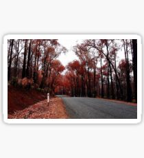 Autumn Drive Sticker