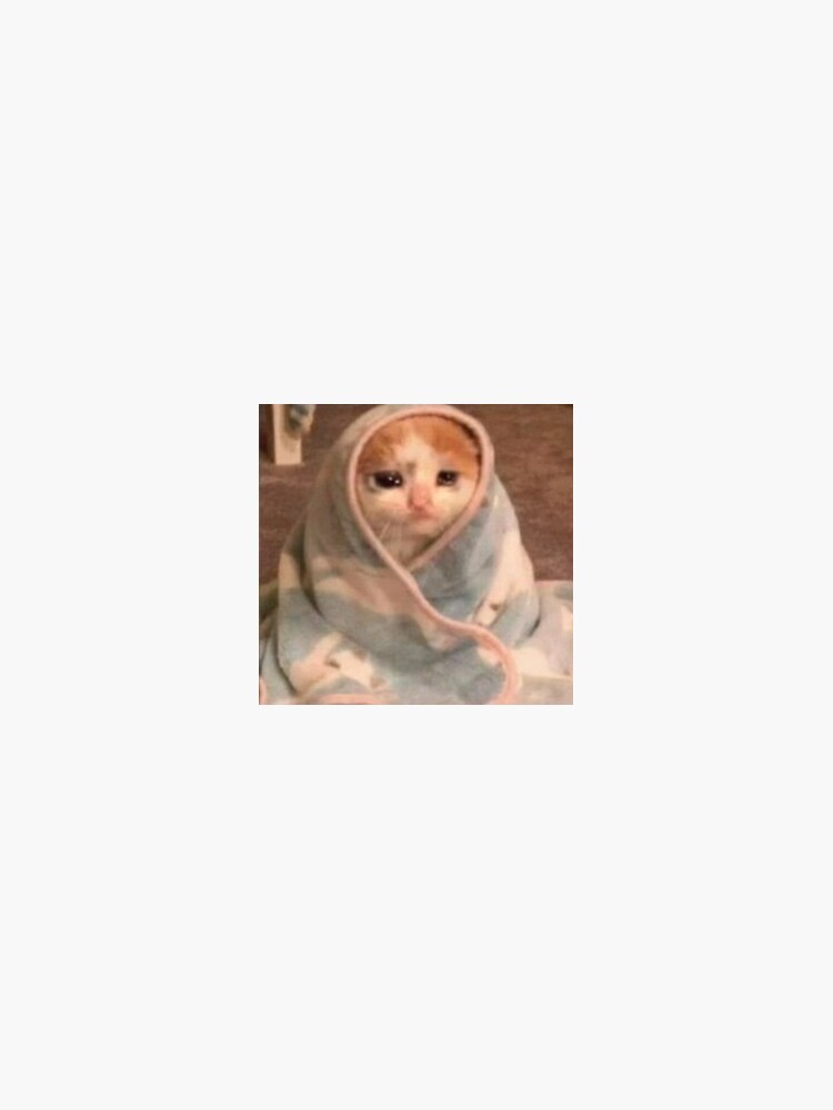 ""crying cat in a blanket" reaction image" Sticker for Sale by