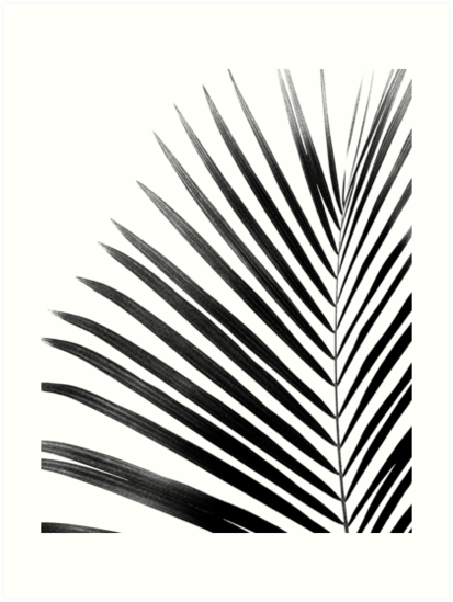 "PALM LEAF Black & White" Art Prints by NORDIKART | Redbubble