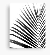 PALM LEAF Black & White Metal Print