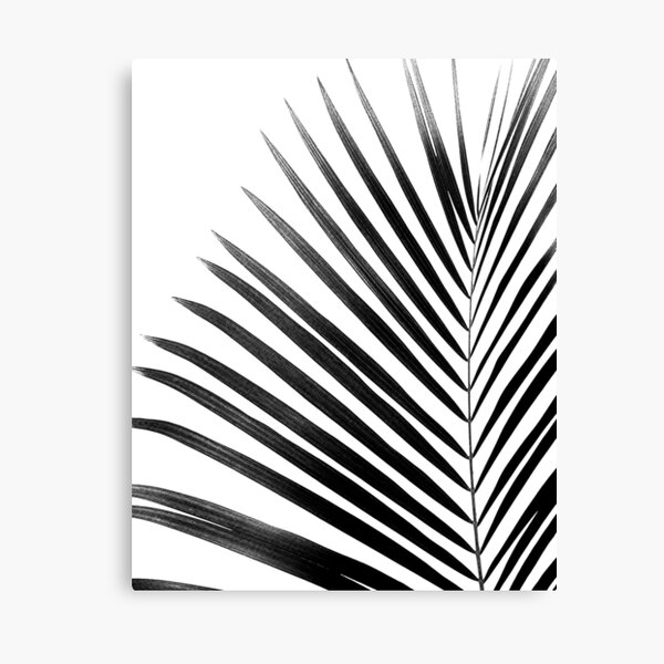Item preview, PALM LEAF Black & White designed and sold by NORDIKART.