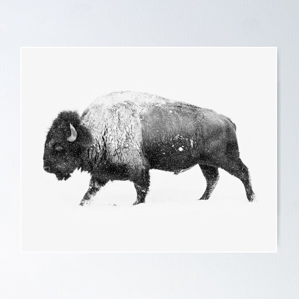 Item preview, BUFFALO designed and sold by NORDIKART.