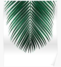 PALM LEAF Poster