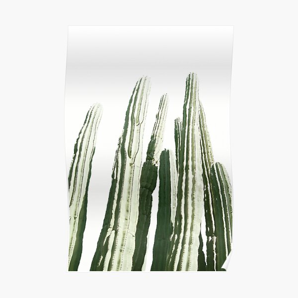 CACTUS Poster