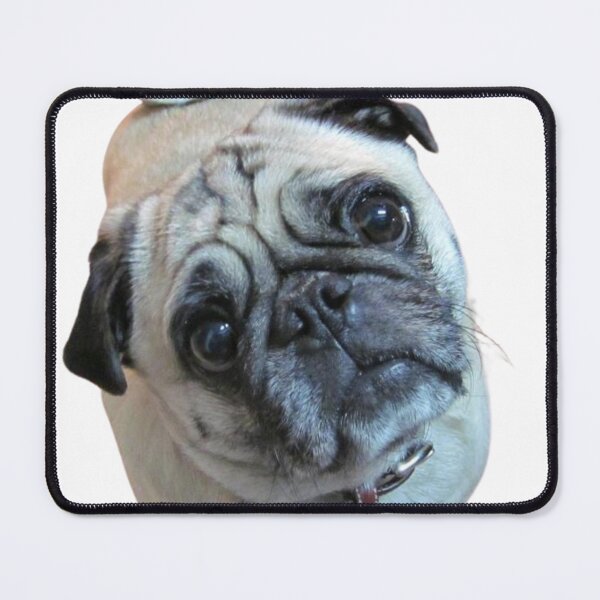 Item preview, Pug Love Coco designed and sold by popremix.