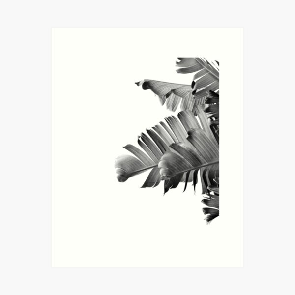Item preview, BANANA LEAVES Black & White II designed and sold by NORDIKART.