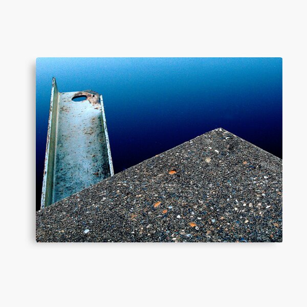 BluFinity Canvas Print
