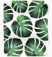 TROPICAL LUSH Poster