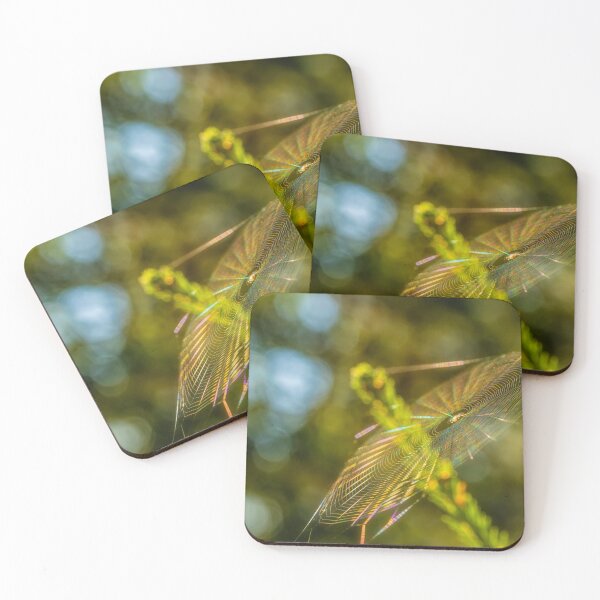 Item preview, Cobweb designed and sold by Veikko  Suikkanen.