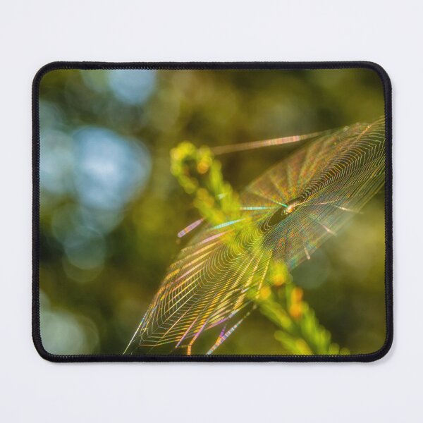 Item preview, Cobweb designed and sold by Veikko  Suikkanen.