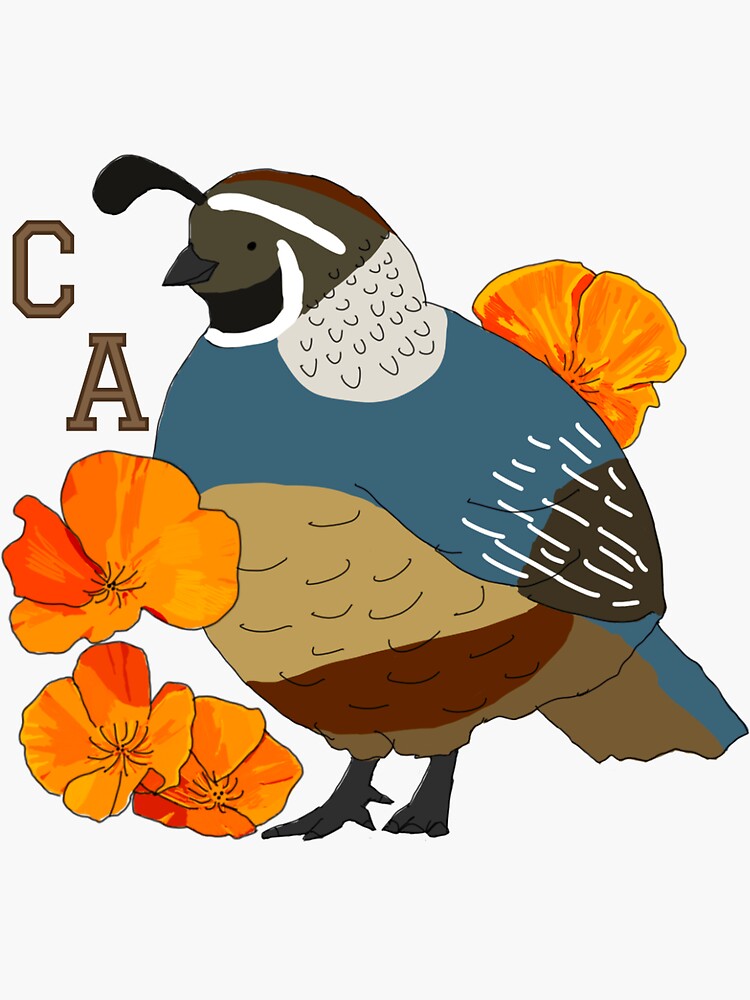 "California Valley Quail and Golden Poppy" Sticker for Sale by