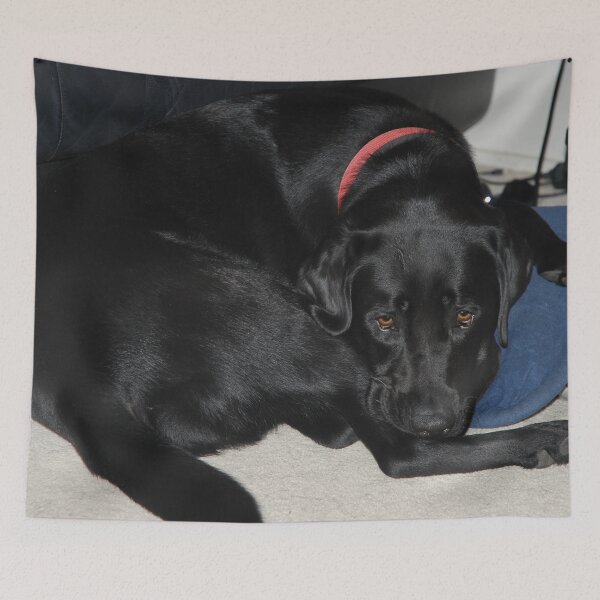 Item preview, This is my Pillow designed and sold by lizdomett.