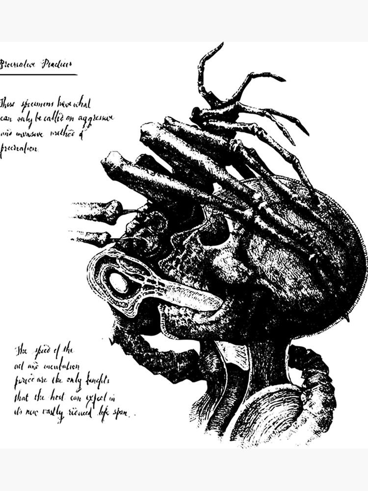 "Facehugger Poster" Sticker for Sale by AlisonTaylor93 Redbubble