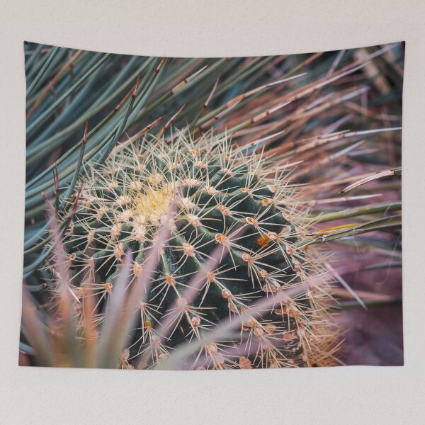 Item preview, Close up of a cactus in the arid garden designed and sold by Michael Deemer.