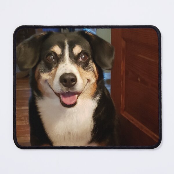 Item preview, Entlebucher smiles designed and sold by Kim Taylor.