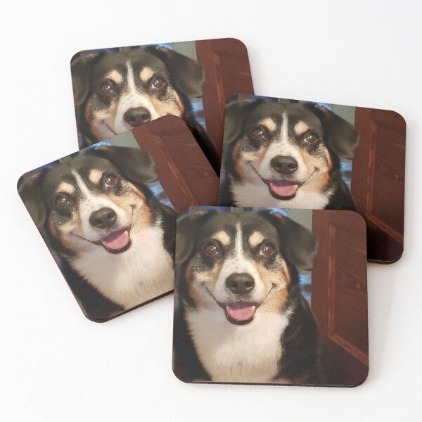 Item preview, Entlebucher smiles designed and sold by Kim Taylor.
