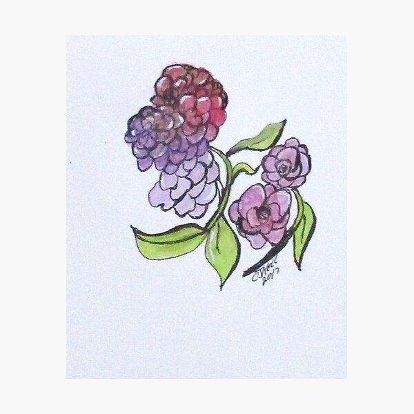 Art Doodle No. 4 Photographic Print