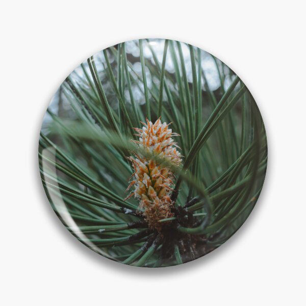 Item preview, Growing Pine designed and sold by Ellie Rae.