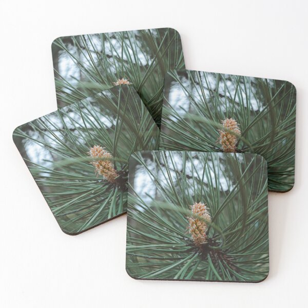 Item preview, Growing Pine designed and sold by Ellie Rae.