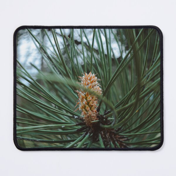 Item preview, Growing Pine designed and sold by Ellie Rae.
