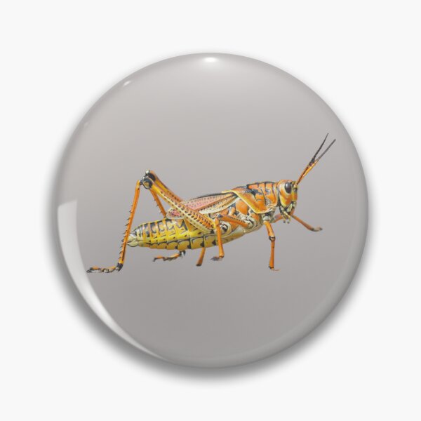 Item preview, Great Grasshopper designed and sold by RainbowSpinkle.