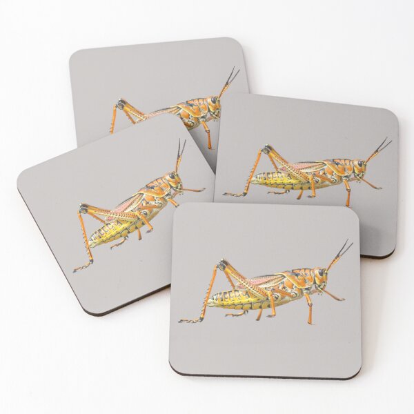 Item preview, Great Grasshopper designed and sold by RainbowSpinkle.
