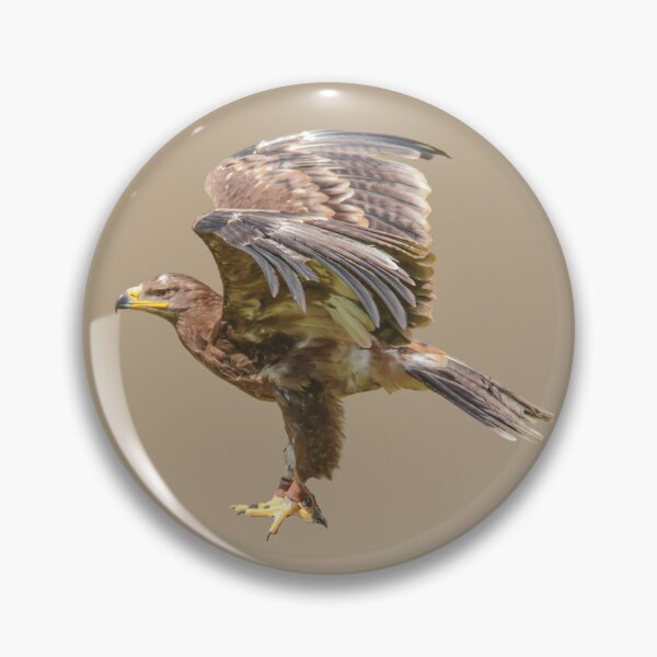 Artikelvorschau, Mächtiger Adler entworfen und verkauft von RainbowSpinkle.