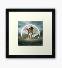aegis | wolf Framed Print