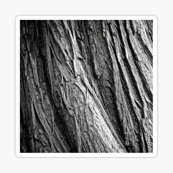 "BLACK AND WHITE SHIRT" Sticker for Sale by THESHIRTROYALTY Redbubble