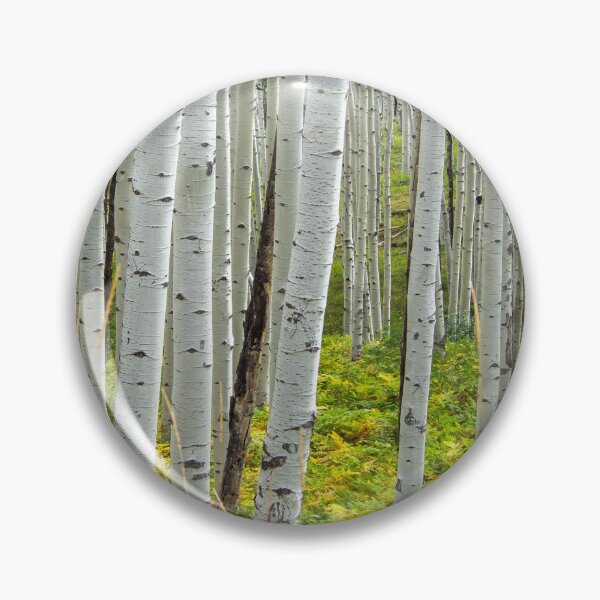 Artikelvorschau, Aspen Bäume entworfen und verkauft von Alla Gill.