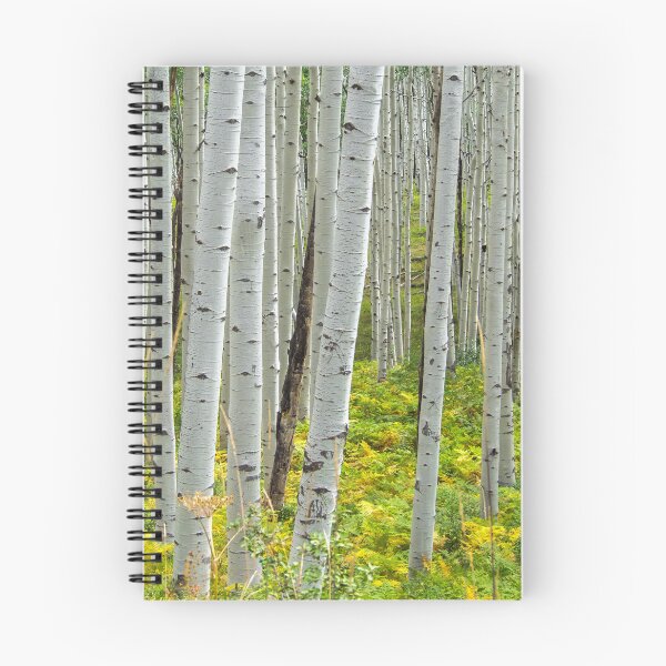 Item preview, Aspen Trees designed and sold by Alla Gill.