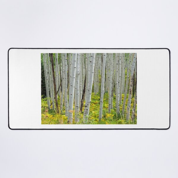 Item preview, Aspen Trees designed and sold by Alla Gill.