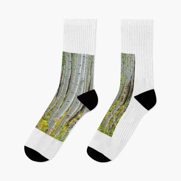 Item preview, Aspen Trees designed and sold by Alla Gill.