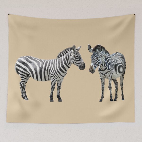 Item preview, Grevy's zebra and plains zebra in Kenya / Africa designed and sold by TShirtsundMehr.