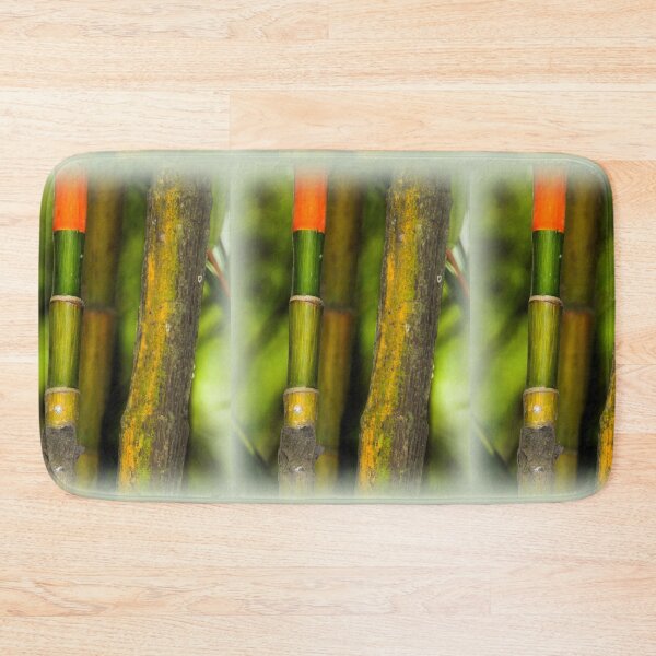 Item preview, Bamboo in Singapore designed and sold by indiafrankk.